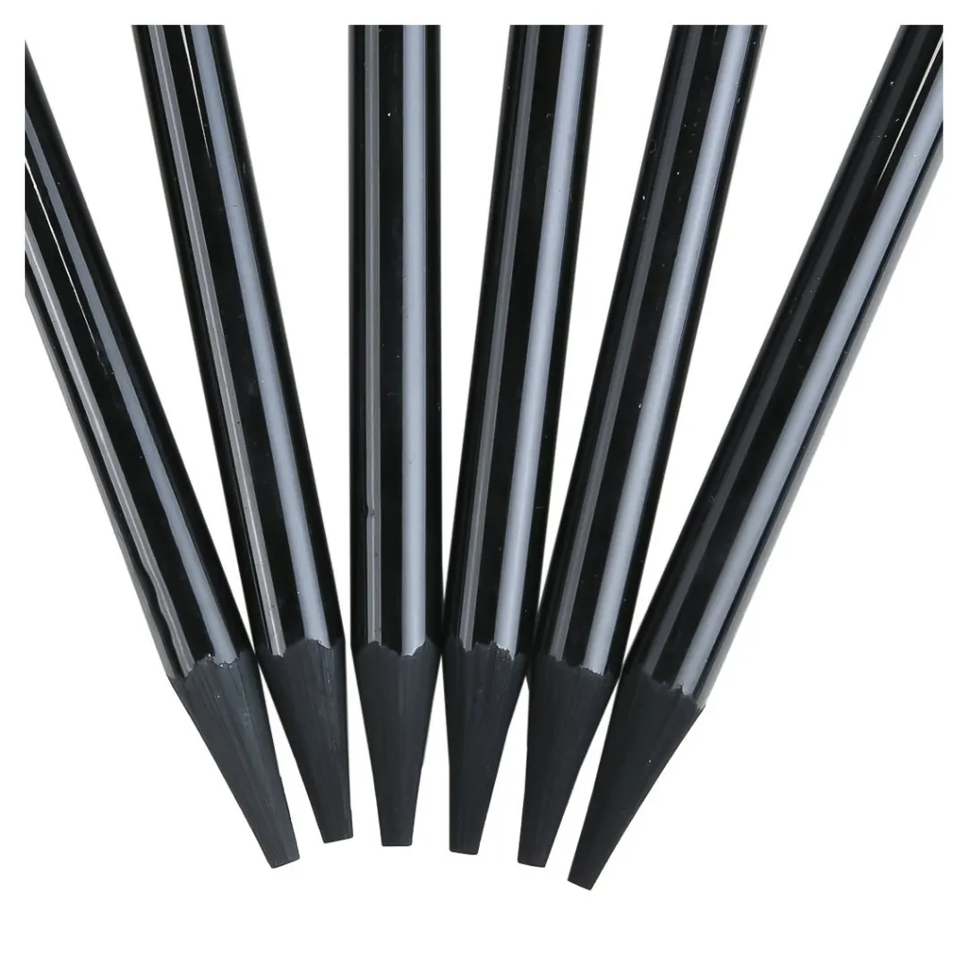 Brustro Woodless Charcoal Pencils Set Of 6
