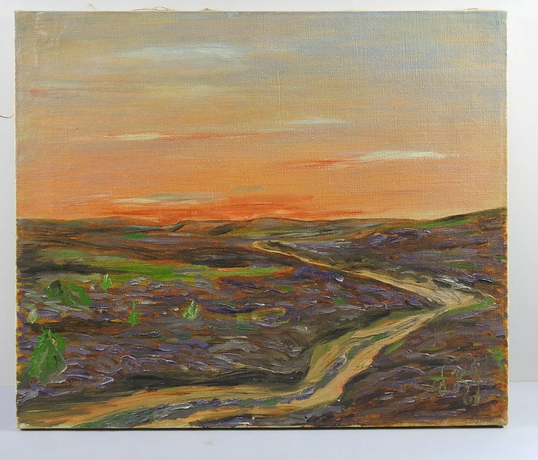 Haervejen Denmark Plein Air Landscape Painting
