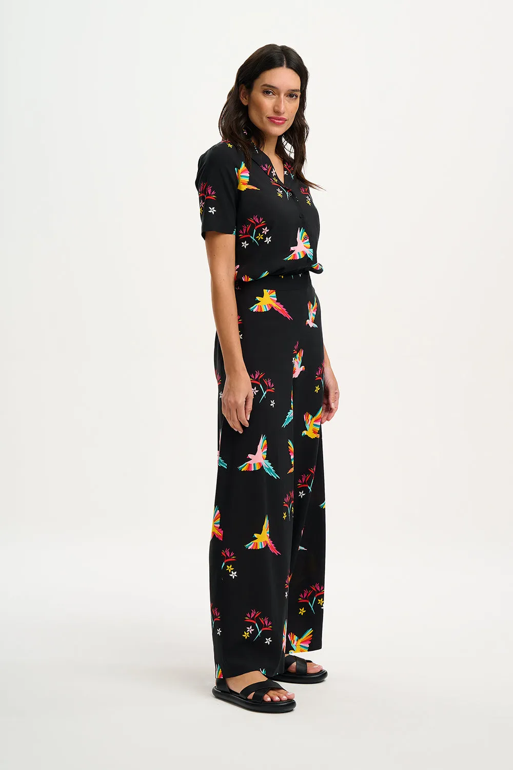 Patsy Palazzo Pants - Black, Tropical Parrots